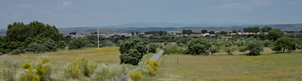 Paisagem Ladoeiro